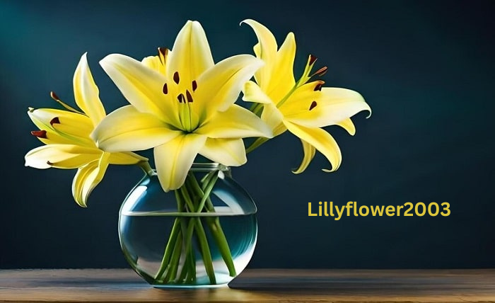 Unveiling the Digital Identity of Lillyflower2003: A Comprehensive Analysis