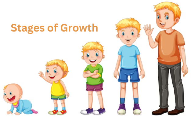 Understanding the Stages of Growth in [Topic]