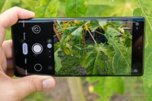 Google Pixel 6 Review – The Android You’ve Been Seeking
