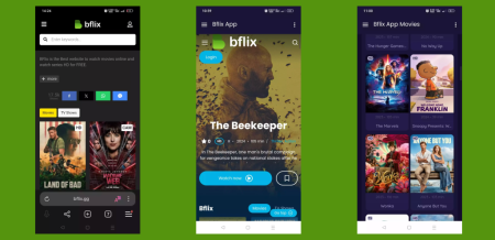 Bflix: A Complete Guide to Features, Content, and More