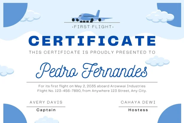 Delta Flight DL275 Diverted to LAX: What Really Happened in the Sky?