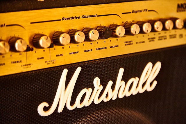 Walter Woods Amplifiers