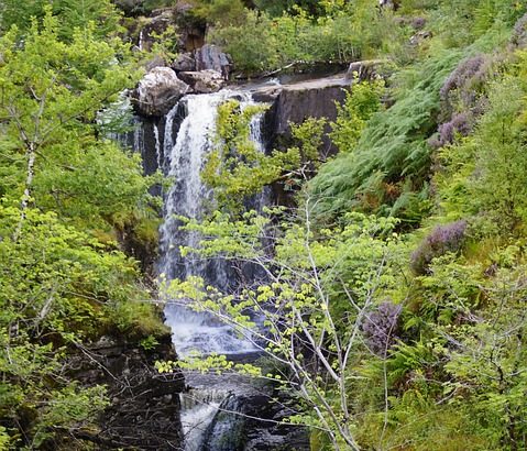 Sierra Skye OnlyFans: Glamour, Confidence, and Unfiltered Allure